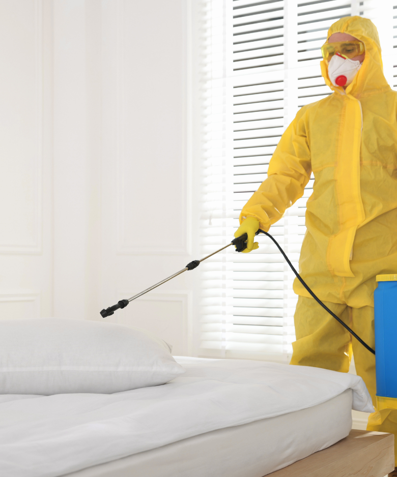 Professional Pest Control Team in Kensington Park